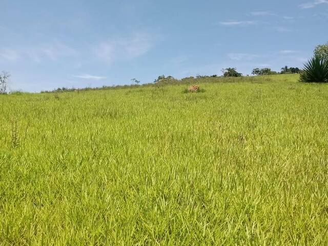 #23874 - Área para Venda em Jacareí - SP - 2