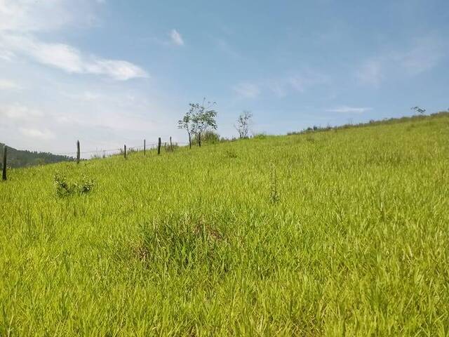 #23874 - Área para Venda em Jacareí - SP - 1